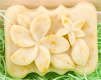 Oats and Cocoa Butter Soap